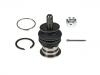 Ball Joint:48610-39135